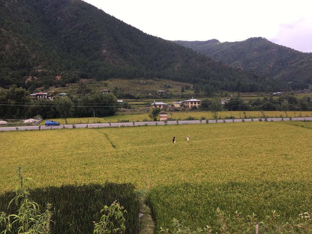 Ama'S Village Lodge 파로 외부 사진